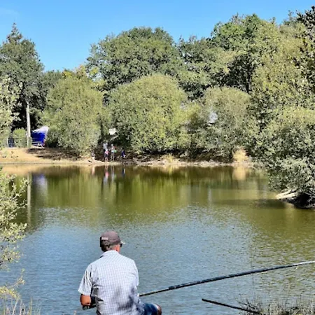 L'oree Du Bois Kamp alanı La Boissiere-de-Montaigu