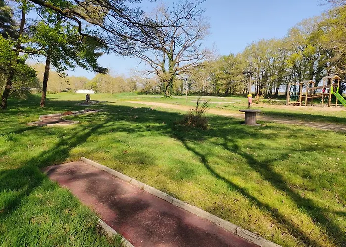 Camping L'oree Du Bois